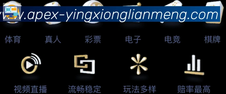 对战数据统计